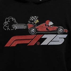 Formula 1 snoopy, racing hoodie, embroidered limited edition